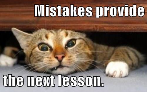 source: http://growthmindsetmemes.blogspot.com/2015/07/english-mistakes-provide-next-lesson.html